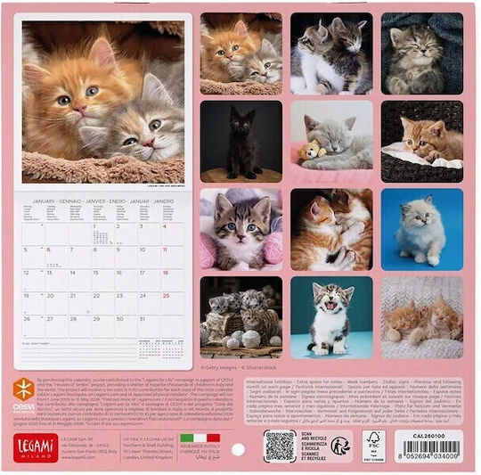 Legami Milano Kittens Monthly Wall Mounted Diary 2026 18x18cm