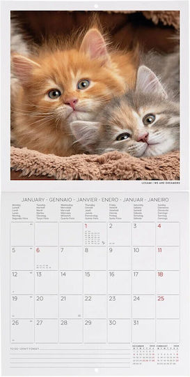 Legami Milano Kittens Monthly Wall Mounted Diary 2026 18x18cm