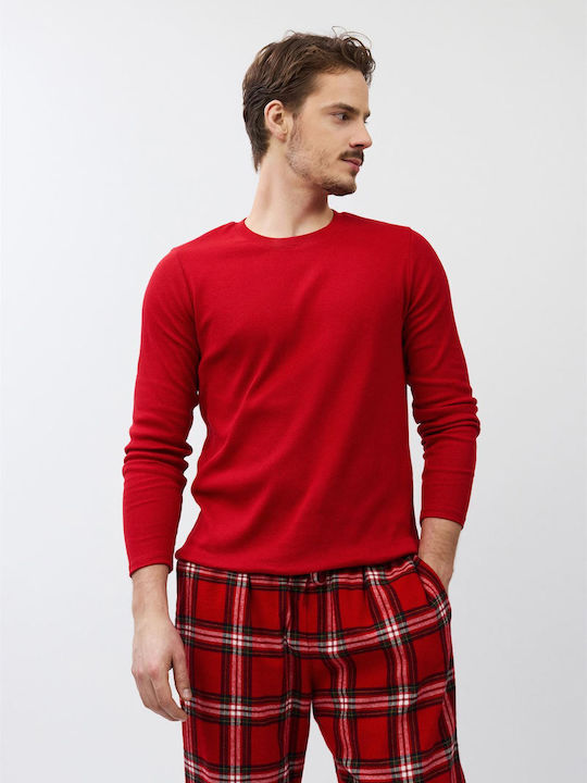 Aruelle Red