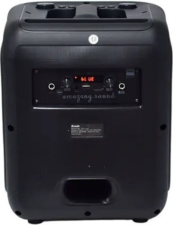Karaoke Speaker with Wireless Microphones and Lighting Effects BTS-1740 717400 Black