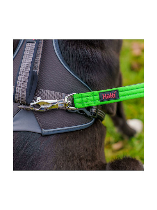 Dog Leash Company Animals L