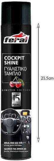 Auto Gs Polishing Spray for Car Dashboard with Aroma Cherry 500ml