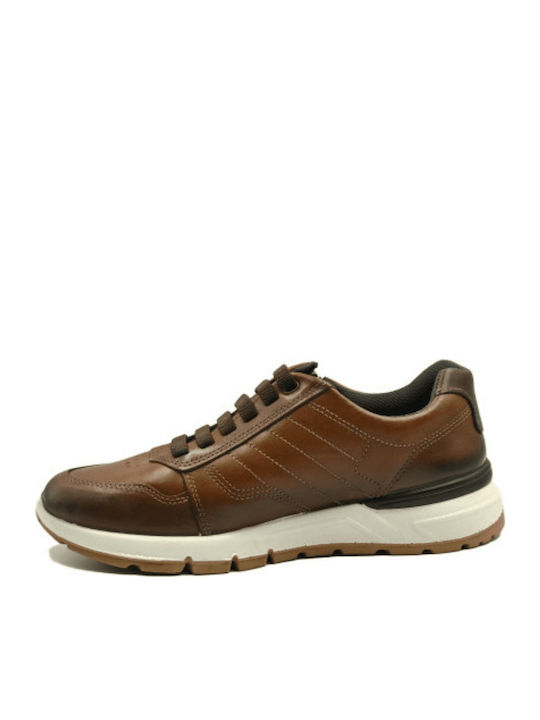 Herren Sneakers Tabac Brown