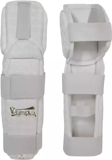 Arm Guards & Elbow Pads And Detachable Gloves Olympus Flex Pro