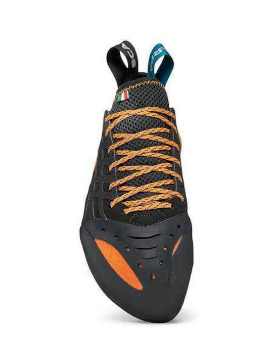 Scarpa Women's Climbing Shoes Black
