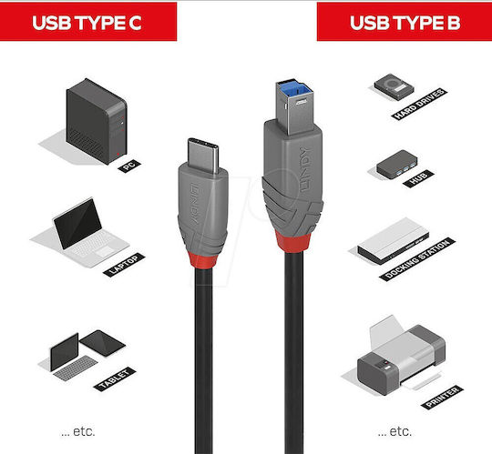 Lindy Anthra Line Regular USB 2.0 Cablu USB-C bărbătesc - USB-B Negru 0.5m (36665)