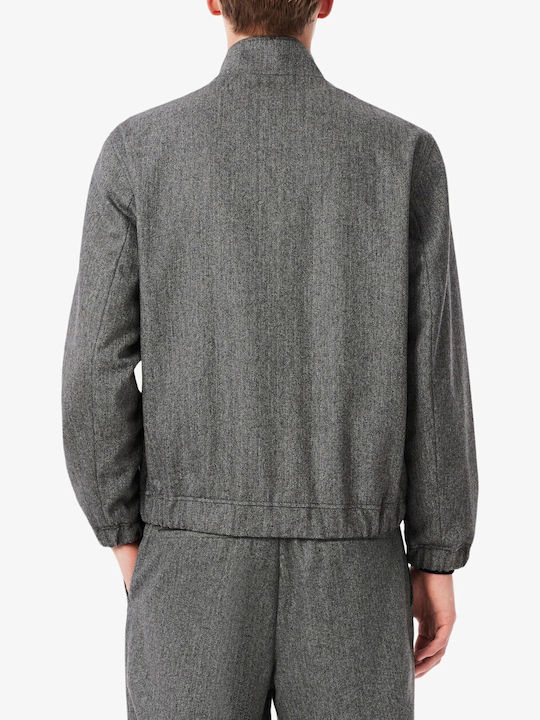 Jacket Grey