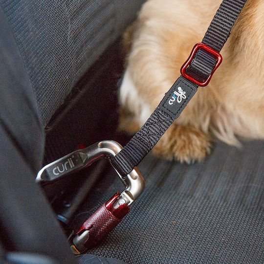Curli Car Safety Belt 30cm