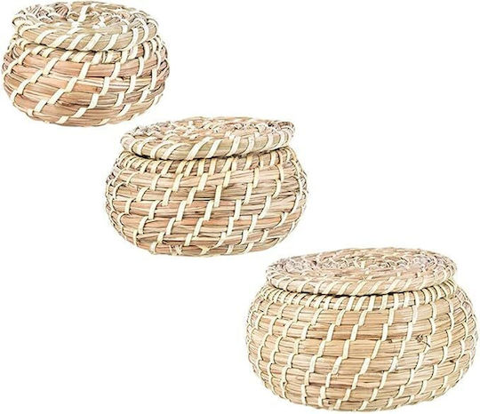 Set de coșuri decorative cu capac 3buc
