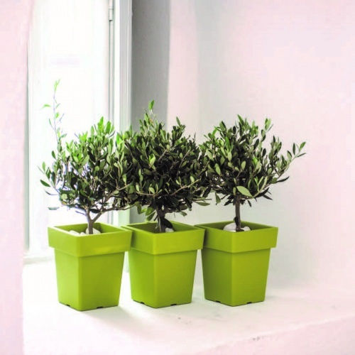 Viomes Pot Basil 27x27x34cm.