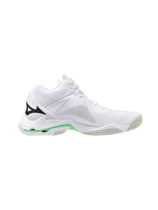 Mizuno
