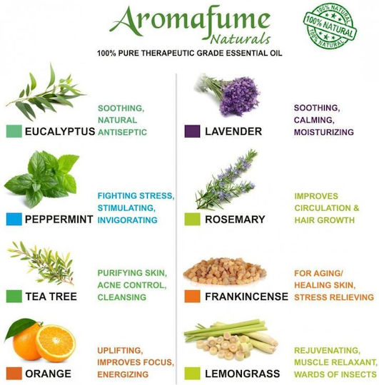 Φυσικό Αιθέριο Έλαιο Δεντρολίβανου Rosemary Natural Essential Oil 10ml