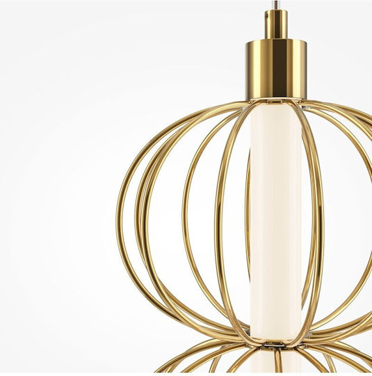 Maytoni Lumină De perete LED Auriu