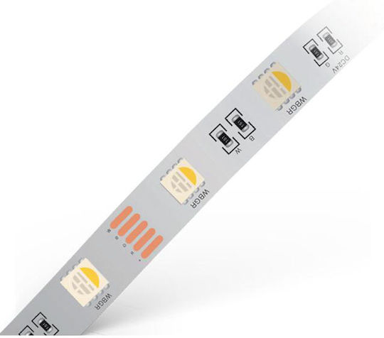 Geyer Ταινία LED 24V RGBW Φως 5m