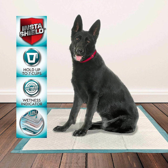 Easypet Scutece de Podea pentru Animale de Companie – M – 60x60cm – 30 Bucăți X 6