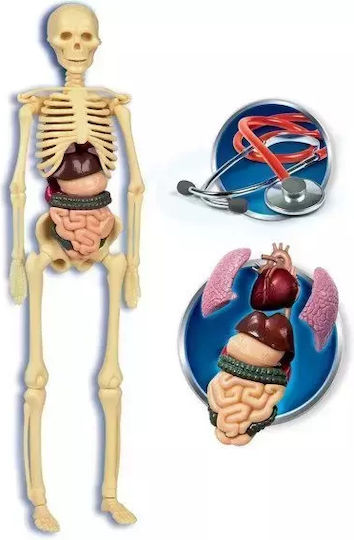 Clementoni Scientific Fun Human Body 60249