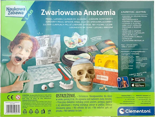 Clementoni Educational Game Experiments