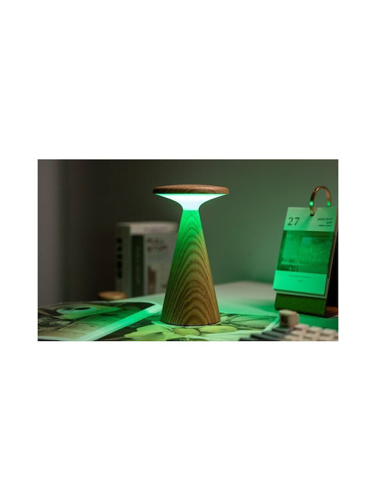 Gingko Διακοσμητικό Φωτιστικό LED RGB