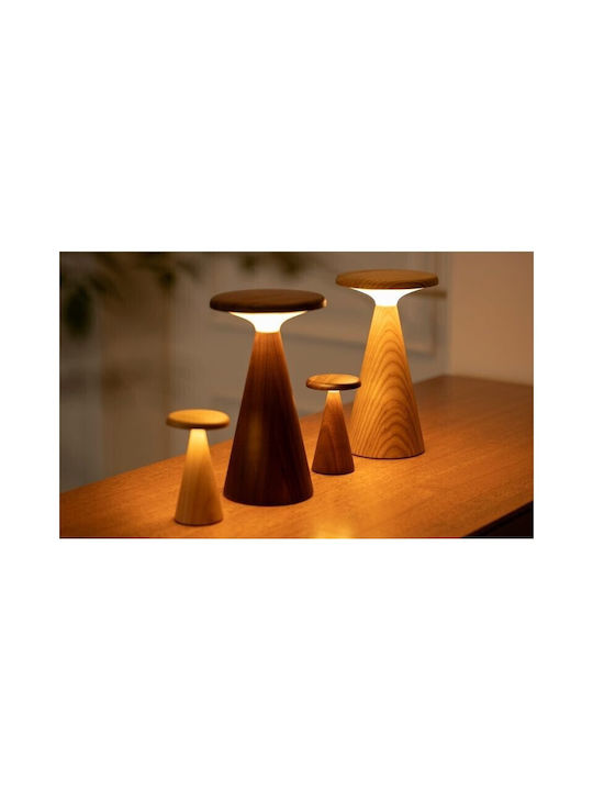 Gingko Διακοσμητικό Φωτιστικό LED RGB