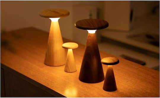 Gingko Διακοσμητικό Φωτιστικό LED RGB