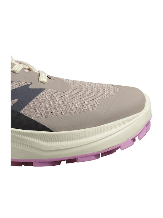 Salomon Alphaglide Γυναικεία Trail Gore-Tex Μπεζ