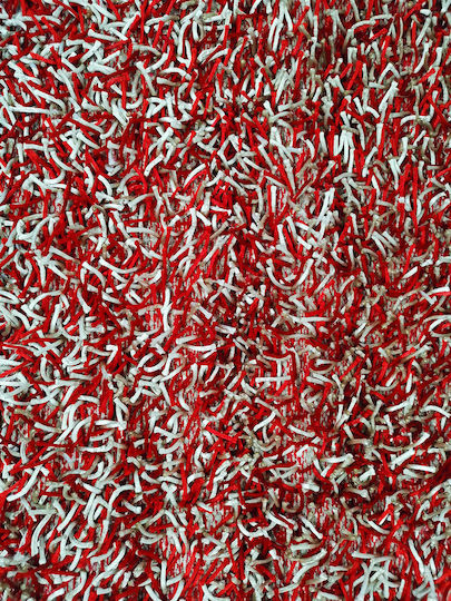 Rug Rectangular Shaggy Red-White