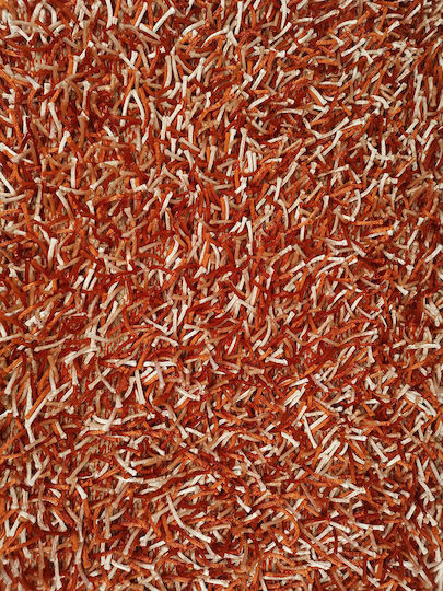 Rug Rectangular Shaggy Orange-ecru