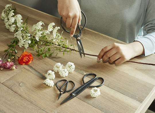 Kikkerland Pruning Shear