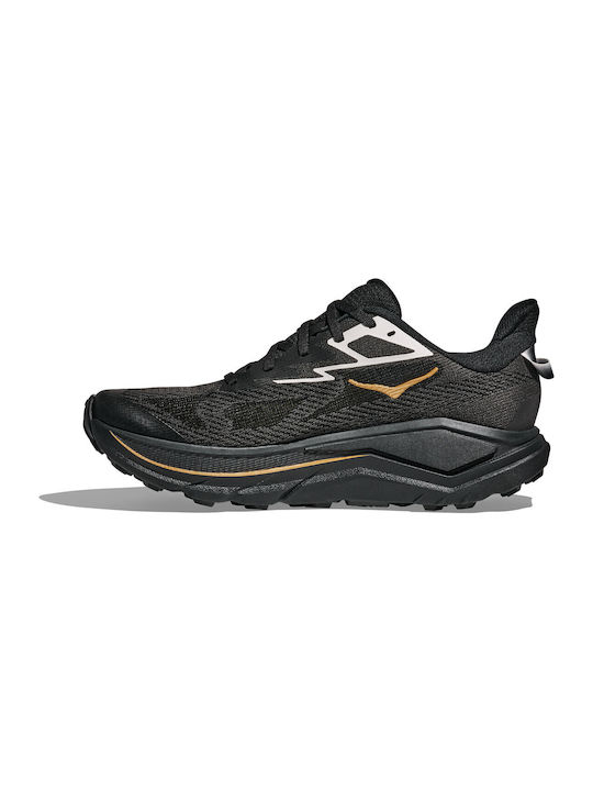 Challenger 8 Sport Shoes Running Black