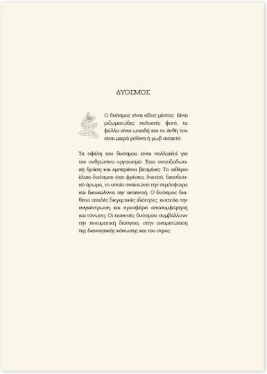 Ημερολογιο Ημερησιο 2026 Adbook 17x25cm Botanical Μεντα 3233-31