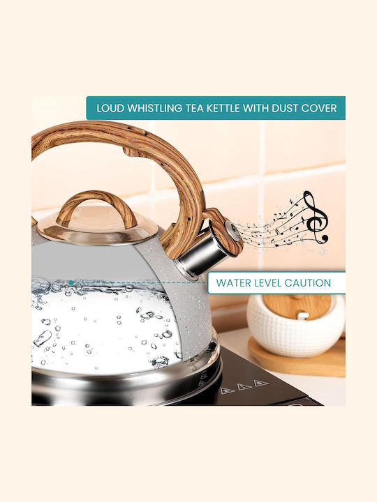 Belle Vous Wasserkocher Edelstahl Gray 3000ml