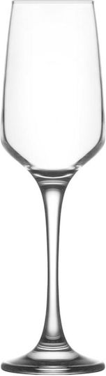 Gurallar Lal Set Brillen Champagner Kelch Glas 230ml 6 Stück
