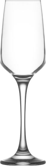 Gurallar Lal Set Brillen Champagner Kelch Glas 230ml 6 Stück