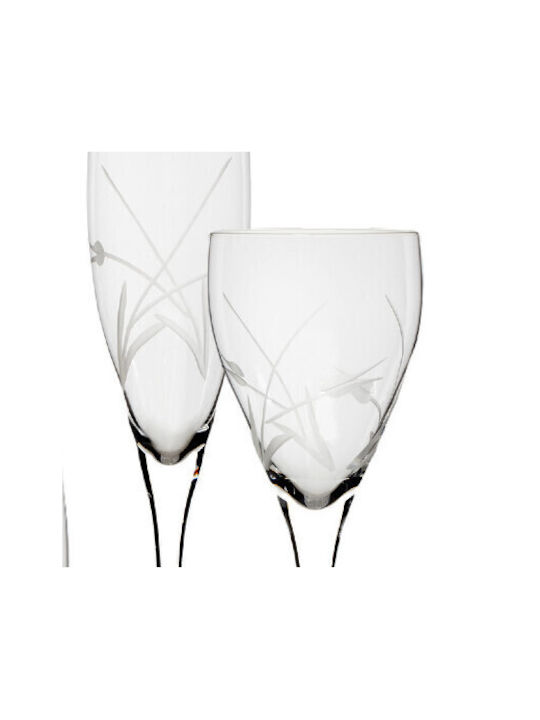Rona Set of Glasses Champagne made of Crystal Stemmed 230ml 6pcs