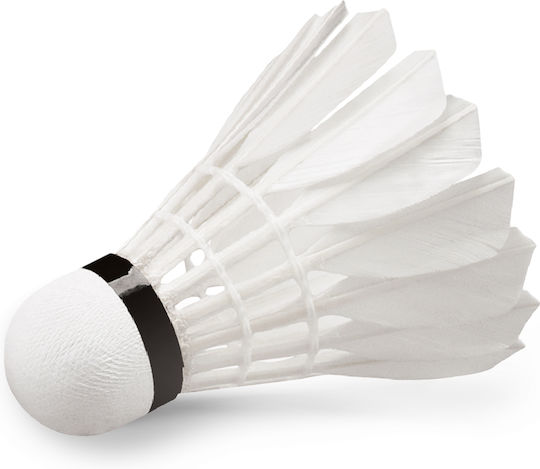 Wish Badminton Shuttlecocks 12pcs