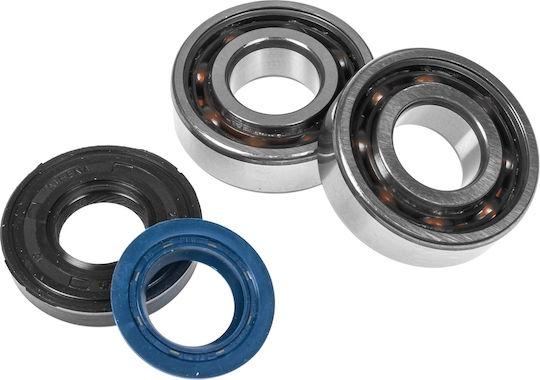 Athena Set Crankshaft Bearing Tn9 Radial Seal Crankshaft Cw Cy Ma Mele Engine Block Crankshaft Bearings