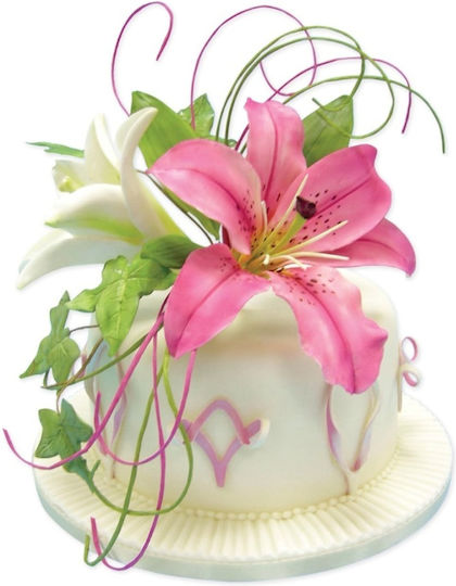 Small Lily Cutter Set 2 Pcs Pme
