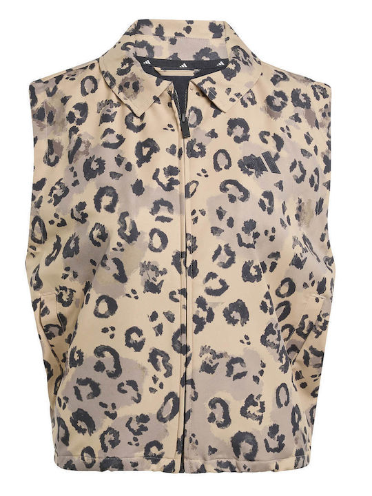 Women's Lifestyle Jacket for Winter Brown