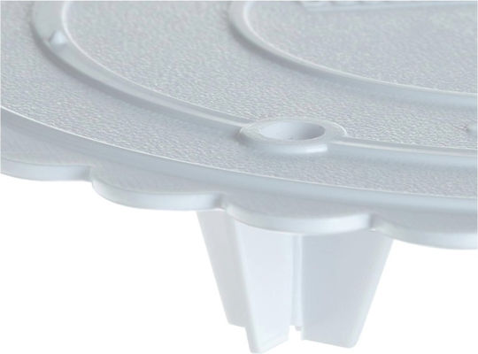 Wilton Βάση Τούρτας Χάρτινη 302-10