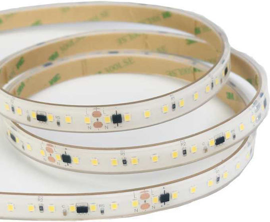 Redled LED Strip 220V