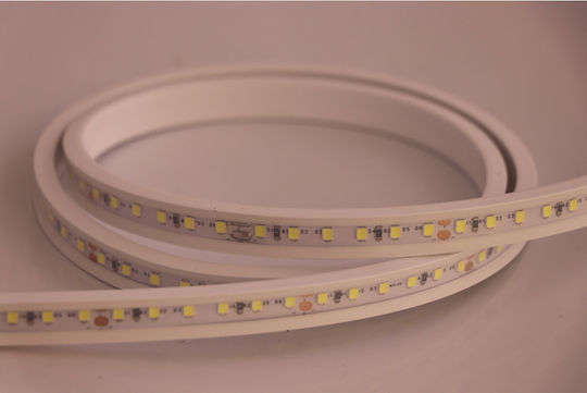 Universe Αδιάβροχη Ταινία LED 24V Ψυχρό Λευκό Φως 5m Neon Flex