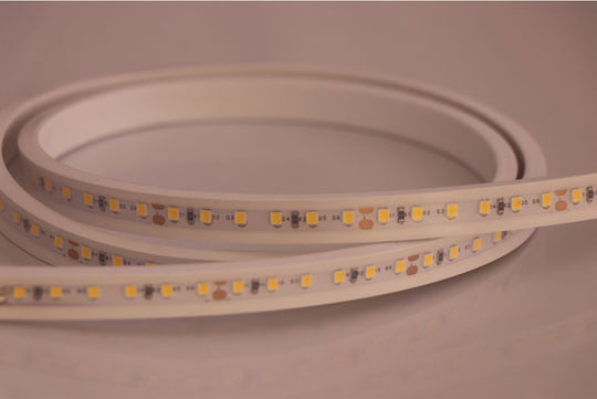 Universe Rezistent la apă Bandă LED 24V Alb Cald Lumină 5m Neon Flex