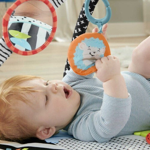 Fisher Price Baby-Spieldecken Und -Gyms Mit Musik Für Neugeborene