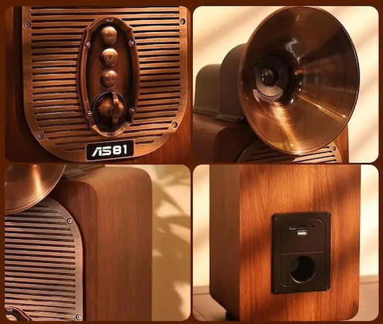 Old Street Audio Ηχείο Bluetooth 30W με Ραδιόφωνο και Διάρκεια Μπαταρίας έως 4 ώρες Καφέ
