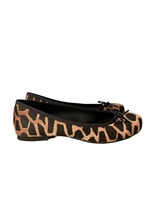 Sider Collection