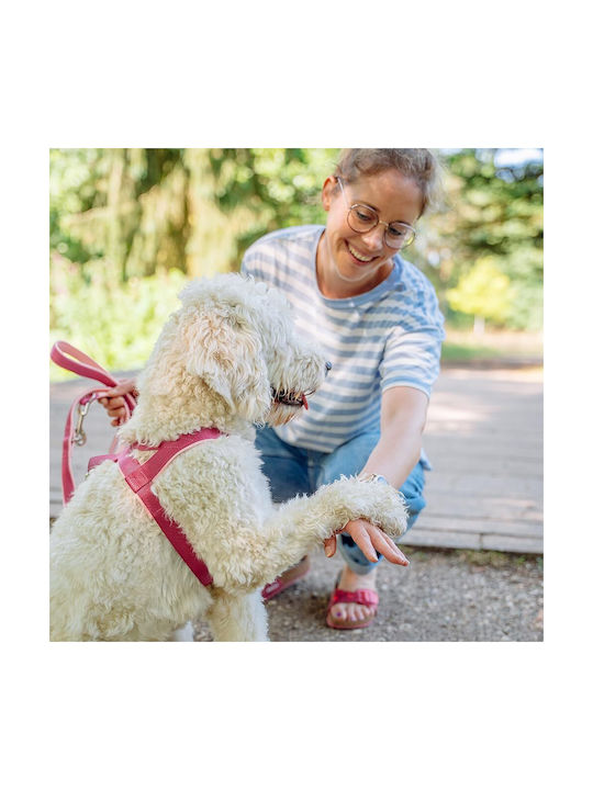 Nobby Dog Harness Training Classic Preno Burgundy 4.5x68-85cm. Pink X-Large / Large 45mm x 68-85cm 80534-64