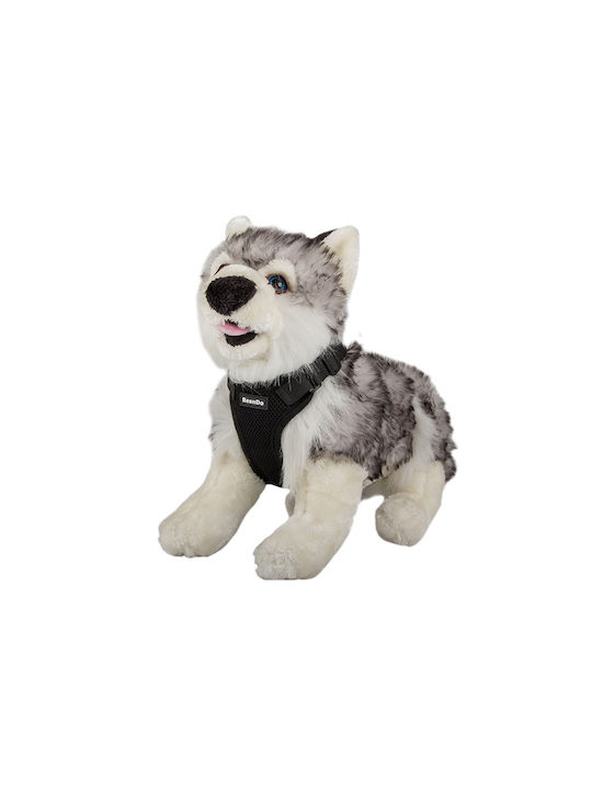 Hundegeschirr Schwarz 19343_XL