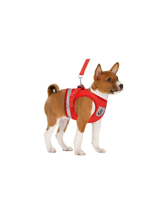 Schwarzes Hundegeschirr X-klein Schwarzes Hundegeschirr X-klein