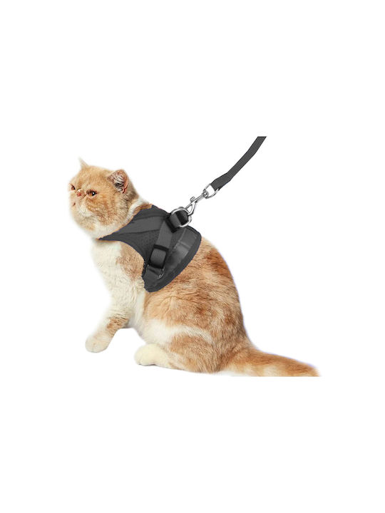 Hundegeschirr Schwarz Klein
