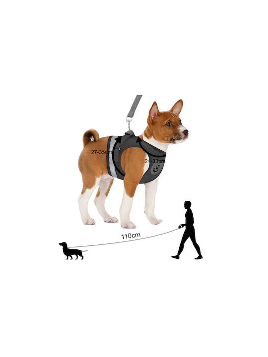 Hundegeschirr Schwarz Klein